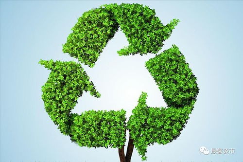 固廢治理 環保產業的核心賽道，聚焦四大潛力龍頭企業